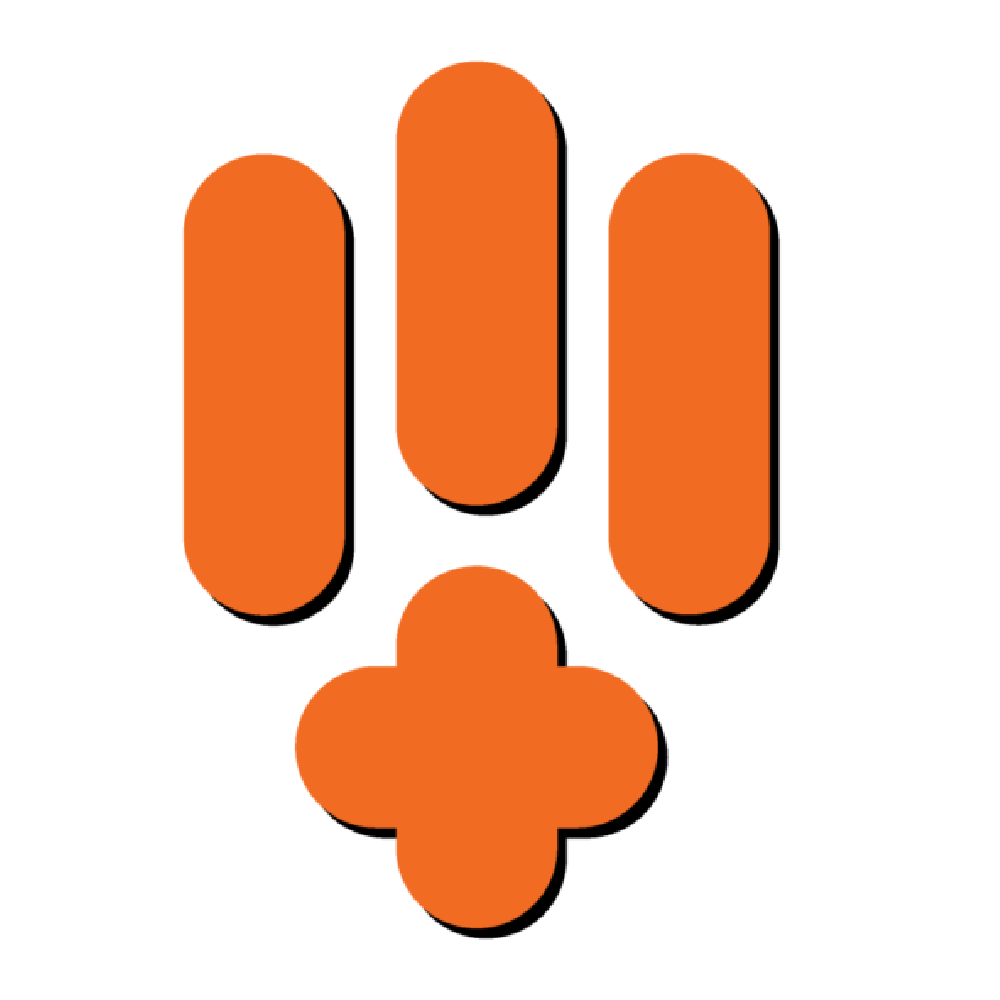 Icon 5
